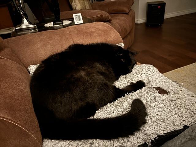 IMG 1970