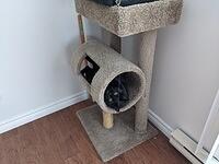 PXL 20210219 173748837